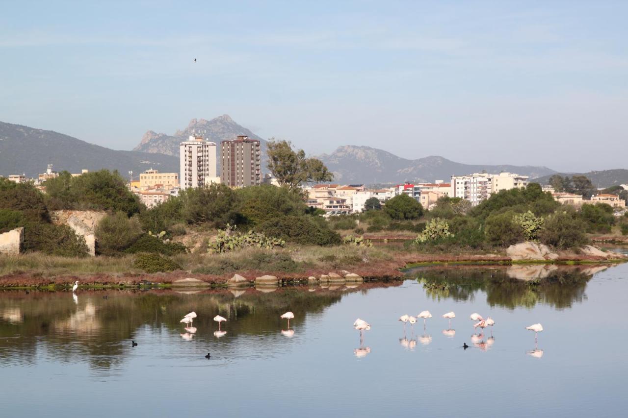Magibac Due - Casa Vicino Aeroporto E Mater Olbia Apartment Ngoại thất bức ảnh
