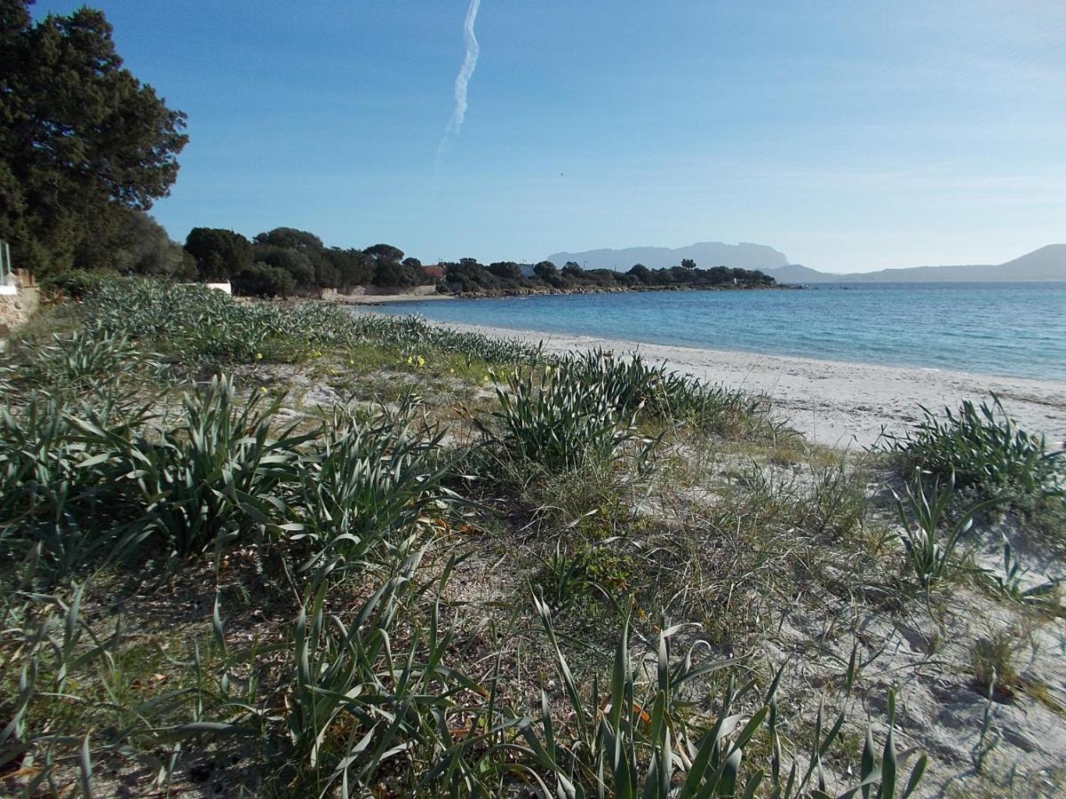 Magibac Due - Casa Vicino Aeroporto E Mater Olbia Apartment Ngoại thất bức ảnh