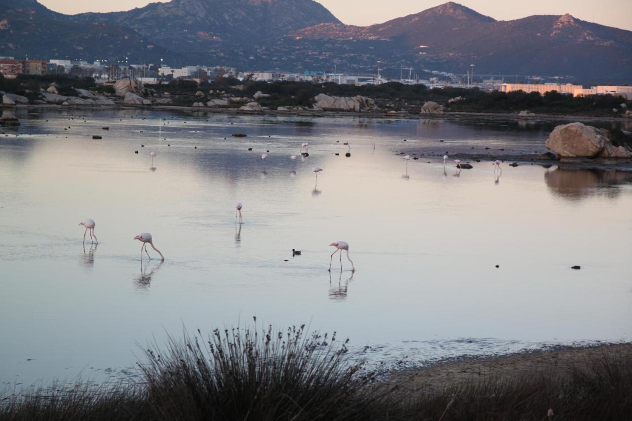 Magibac Due - Casa Vicino Aeroporto E Mater Olbia Apartment Ngoại thất bức ảnh